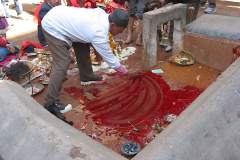 Erster Haarschnitt - Chudakarana -  Blut wird über den Altar verschmiert