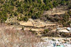 Himalaya-Gokyo-Reisfelder-Im-Gebirge