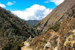 Himalaya-Kalapatar-Straeucher-Baeume-Im-Gebirge-Stupa