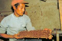 Herstellung tibetischer Räucherstäbchen - Durch den Wolf gedrehte Schnüre